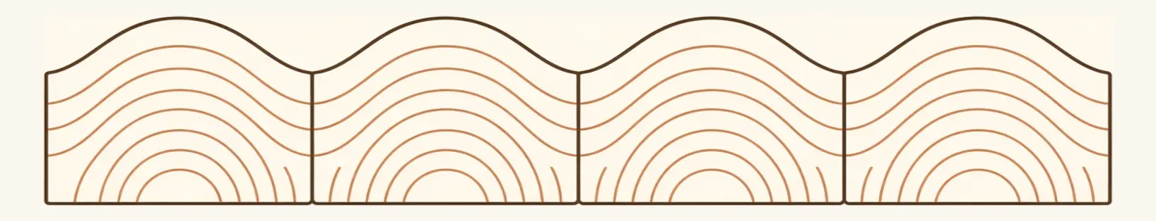End-grain cross-section of floorboards whose centres have risen higher than their edges, forming shallow domes.