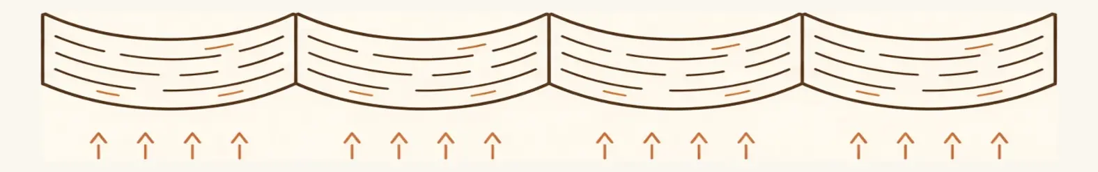 End-grain cross-section of floorboards whose edges have risen higher than their centres, forming shallow troughs across the floor.