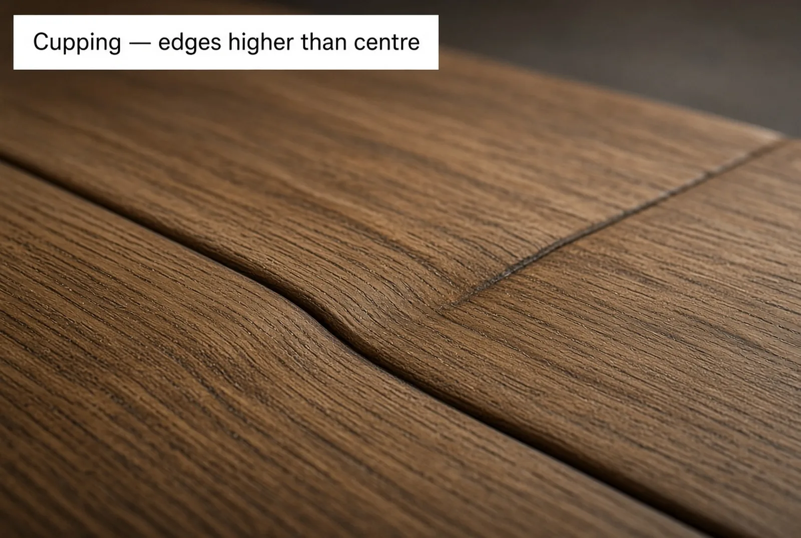 Oak floorboards under raking light whose edges have risen higher than their centres, forming shallow troughs across the floor.
