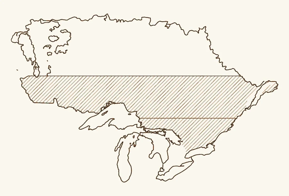 A simplified map of Ontario with the southern deciduous and Great Lakes–St. Lawrence forest regions distinguished from the boreal forest to the north, showing where the tolerant hardwoods grow.
