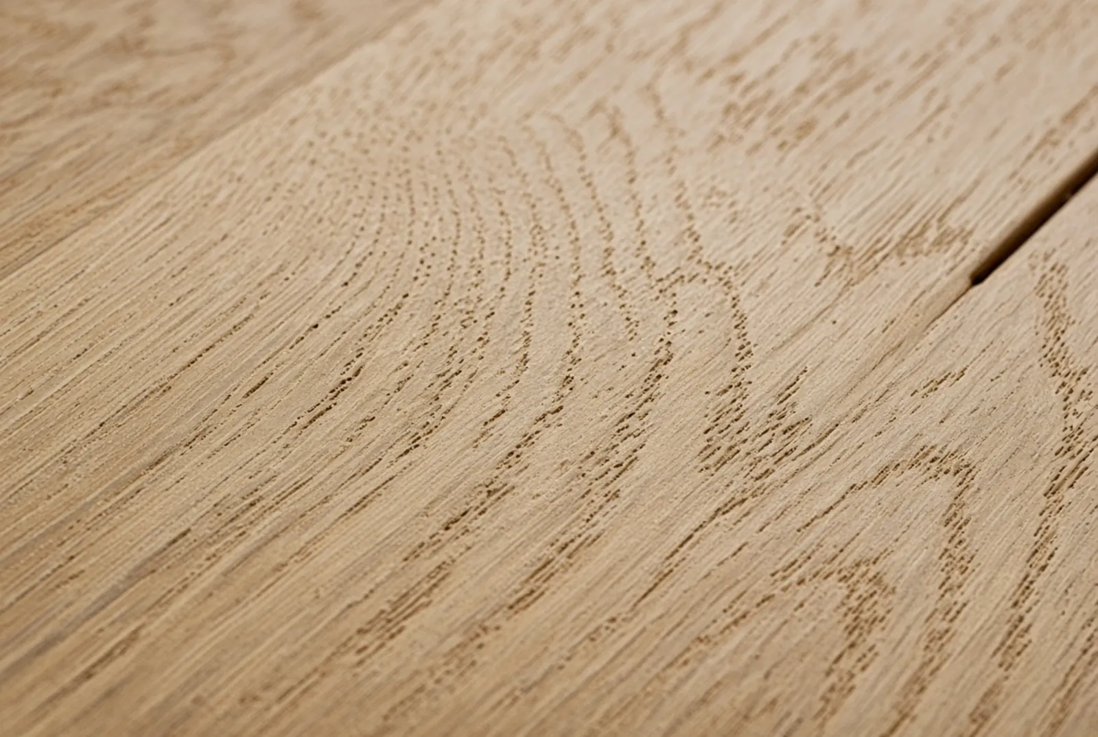 Wide-plank European white oak photographed close, with grain and pore structure clearly visible.