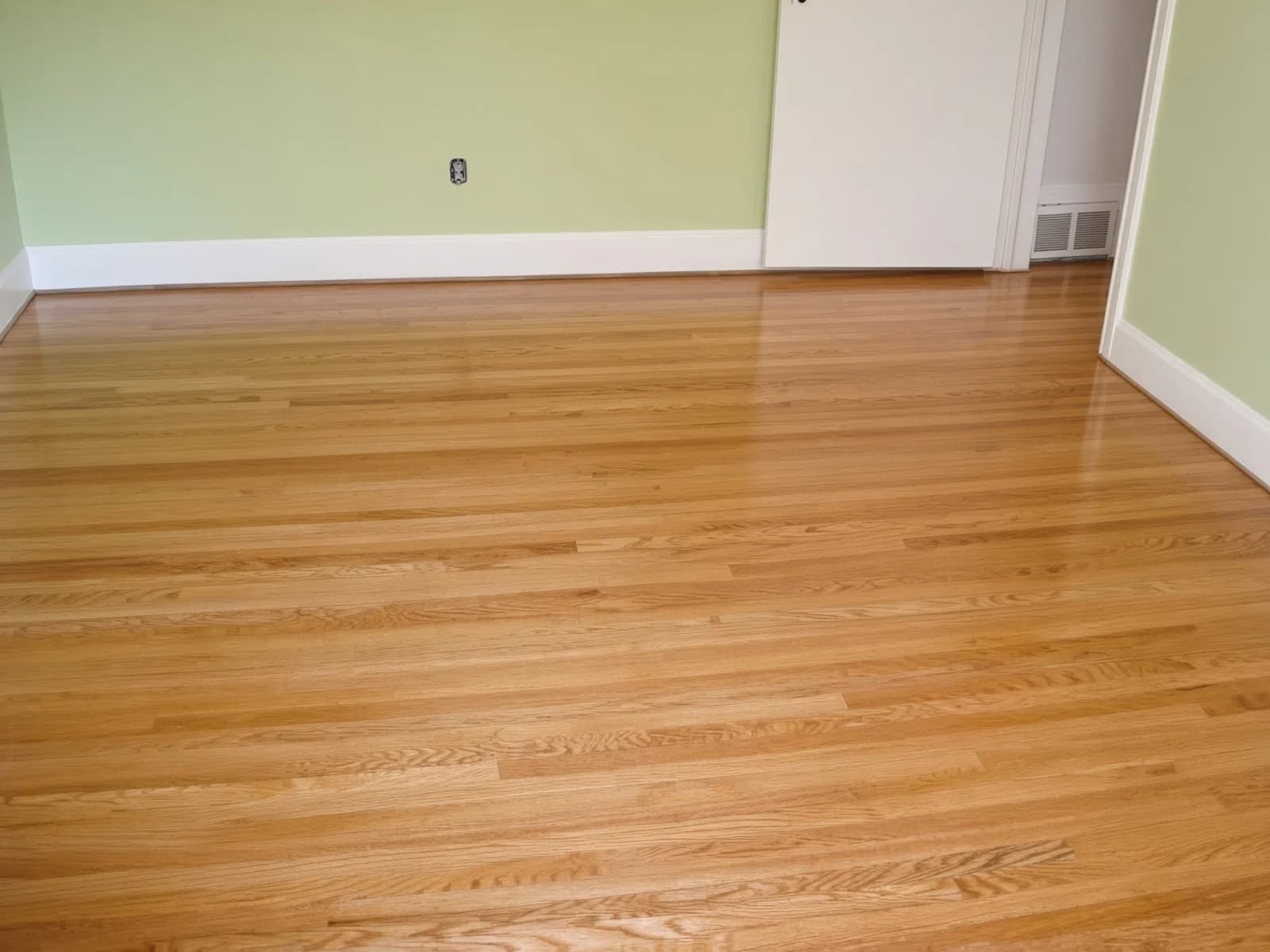 The sage room emptied out after finishing, continuous grain running the length of the open-plan space.